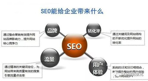 网站优化产品介绍